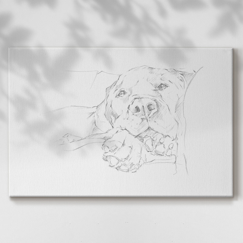 Toile tendue Lazy Dog I-Gallery, H 18 po x l 27 po