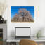 Almond Trees In Blossom Cordoba Province Andalusia Southern Spain. Prunus Dulcis. by Ken Welsh - Wrapped Canvas Print-2125870727