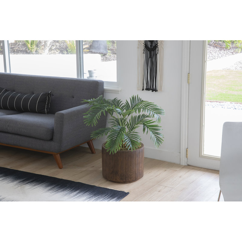 Plante de 63,5 po en forme de serpent