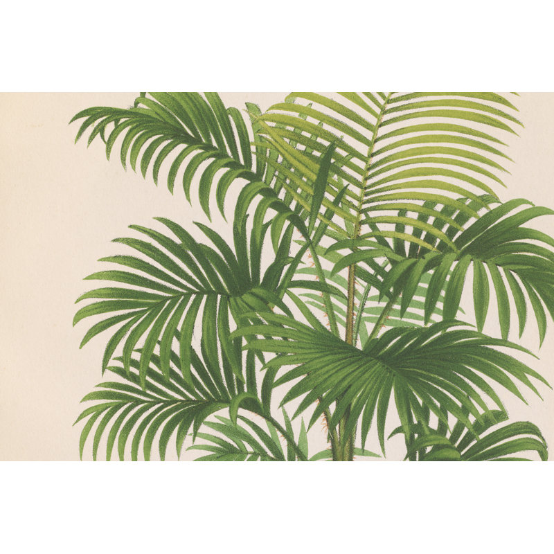 Palmier PL X by Wild Apple Portfolio - Wrapped Canvas Painting, 46cm H x 30cm W
