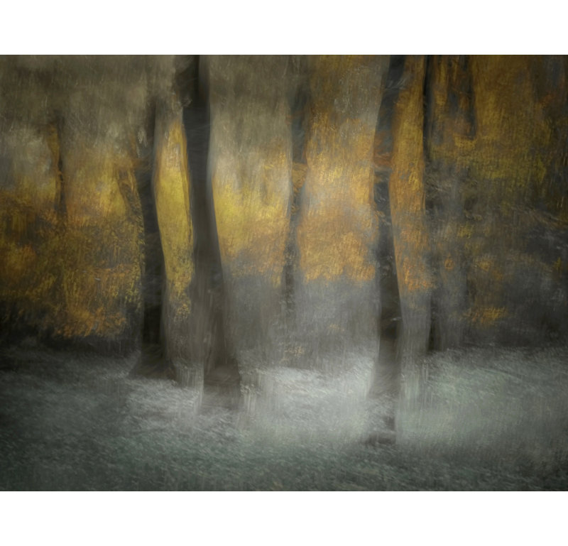 Wrapped Canvas Print, 60.96 cm H x 91.44 cm W