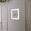 Lucent Botanicals 7 Print by Darrell Kincer-645605382