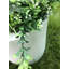 Pot Planter