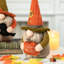 Ensemble de 3 gnomes décoratifs d'automne