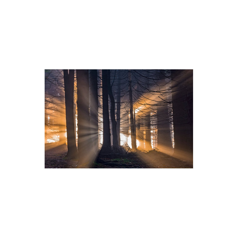 Wrapped Canvas Print, 60.96 cm H x 91.44 cm W