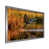 Silver Picture Framed