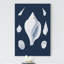 « coquillages blancs ii », impression sur toile-1226047807-1228587163