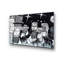 Boze Wall Decor