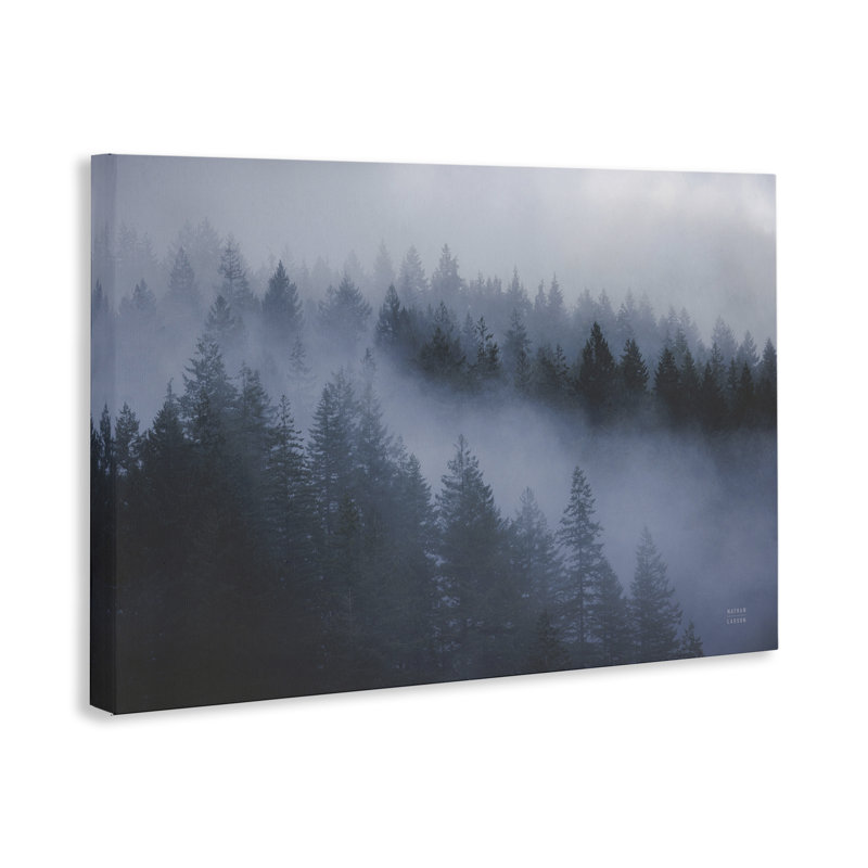 Art mural sur toile «Fog Fillers Trees Landscape» par Nathan Larson, H 30 po x l 45 po