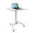 Torenzo Adjustable Metal Base Standing Desk-854620457-855388958