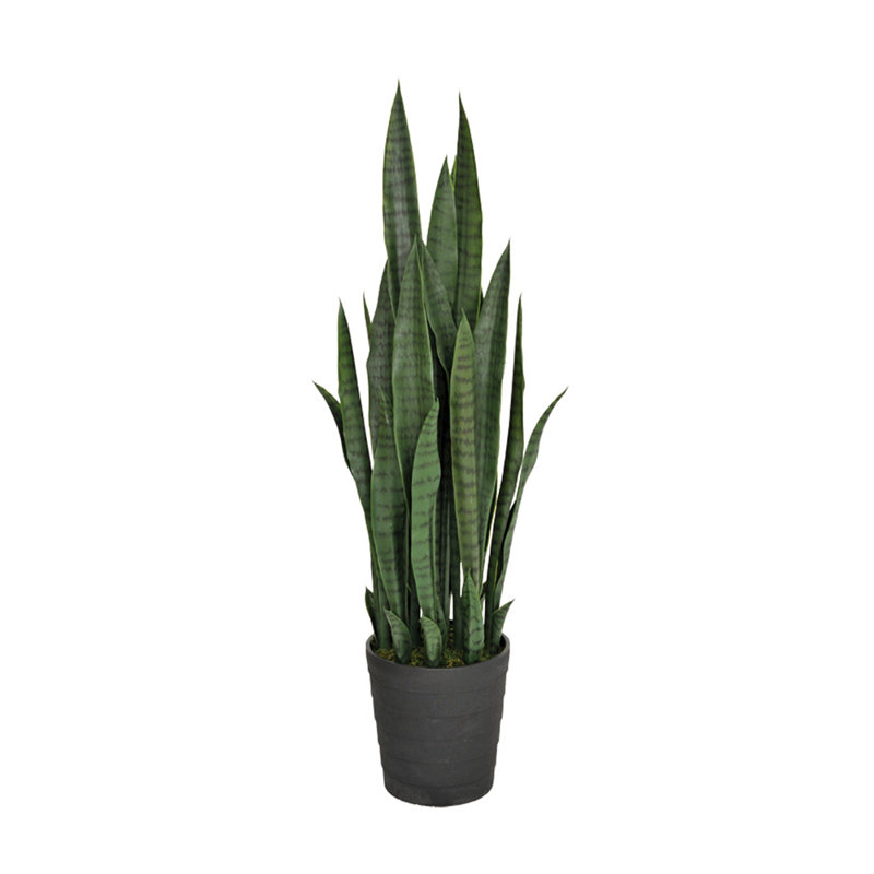 23 cm H Faux Snake Plant in Plastic Pot