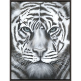 Silver Eyes Print by Beverly Fuller