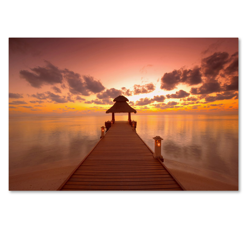 Ann 'Beachy 25', reproduction de photo sur toile tendue, H 12 po x l 19 po