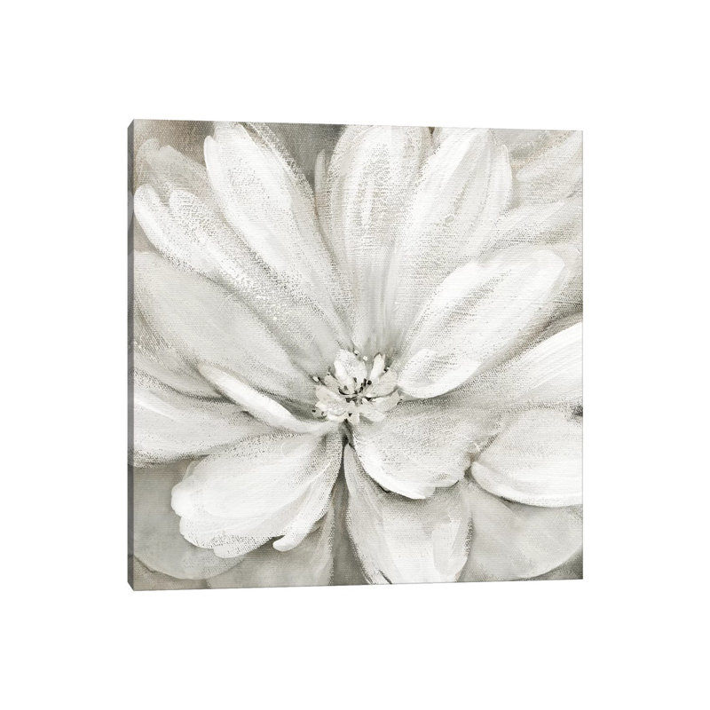 Simply Soft by Carol Robinson - Wrapped Canvas Painting, 30.48 cm H x 30.48 cm W