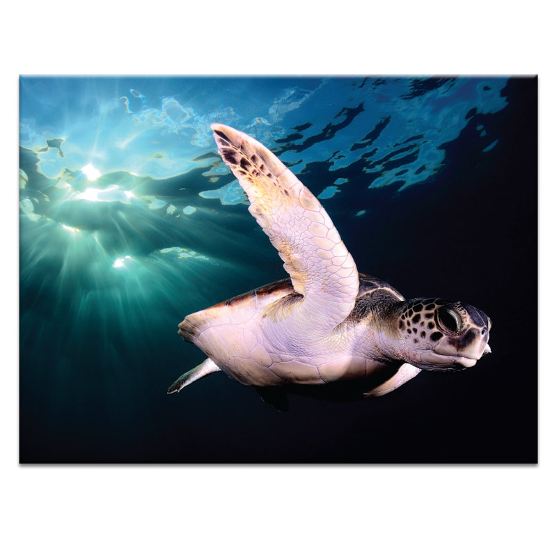 Photographers Lane - Wrapped Canvas Print, 51cm H x 41cm W