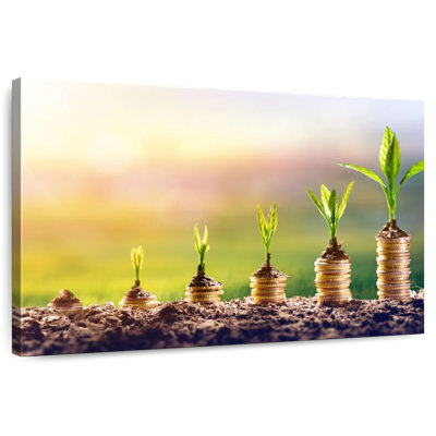 Senne Grow Your Money