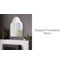 Miroir d'appoint Hounshell Reign