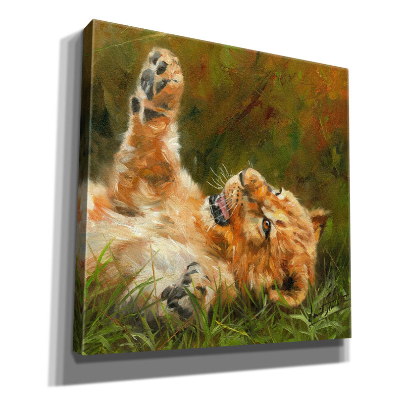 «Lion Cub 10122» par David Stribble, art mural sur toile, H 12 po x l 12 po x P 0,75 po