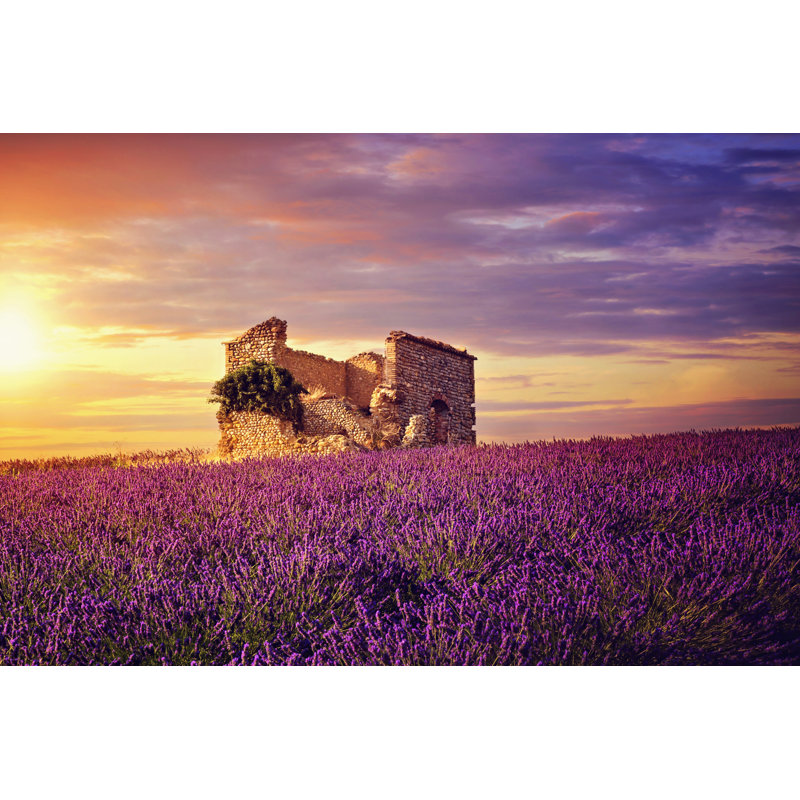 Lavender Field At Sunset - Wrapped Canvas Print, 30cm H x 46cm W x 3.8cm D