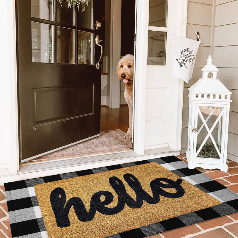 Quintisha Buffalo Plaid Area Rugs Black and White Checkered Rug Outdoor Rugs , Rectangle 2'3" x 3'6"