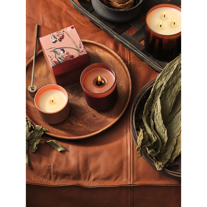 Terra Tabac White Ceramic Reed Diffuser with Cashmere Musk