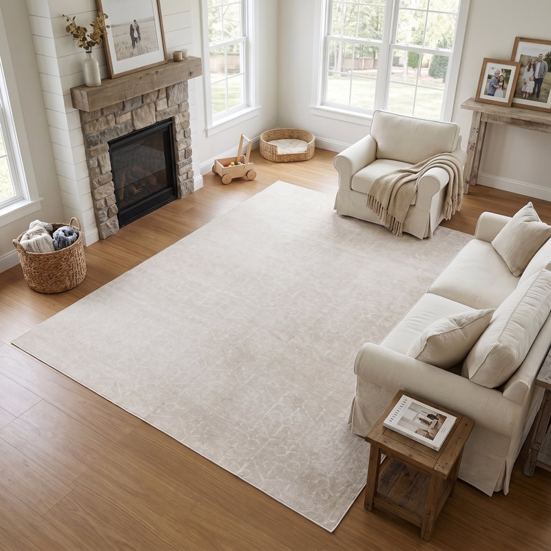8‘ * 10’ Distressed Area Rug