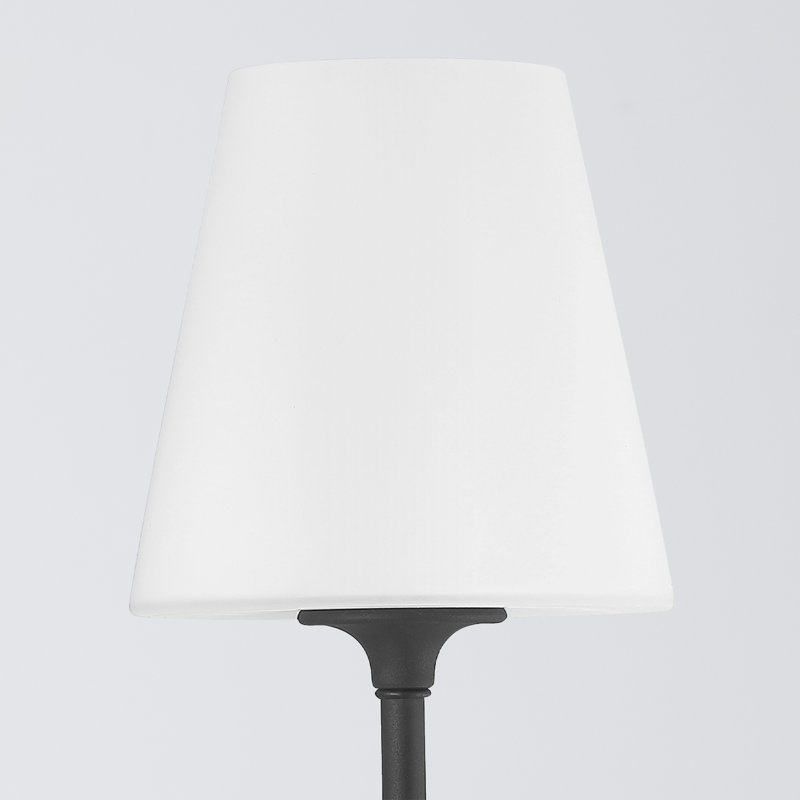 Alyanah 3 - Light Dimmable Vanity Light, Black Forged