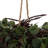 Artificial Green Angel Vine Kissing Ball-93008927