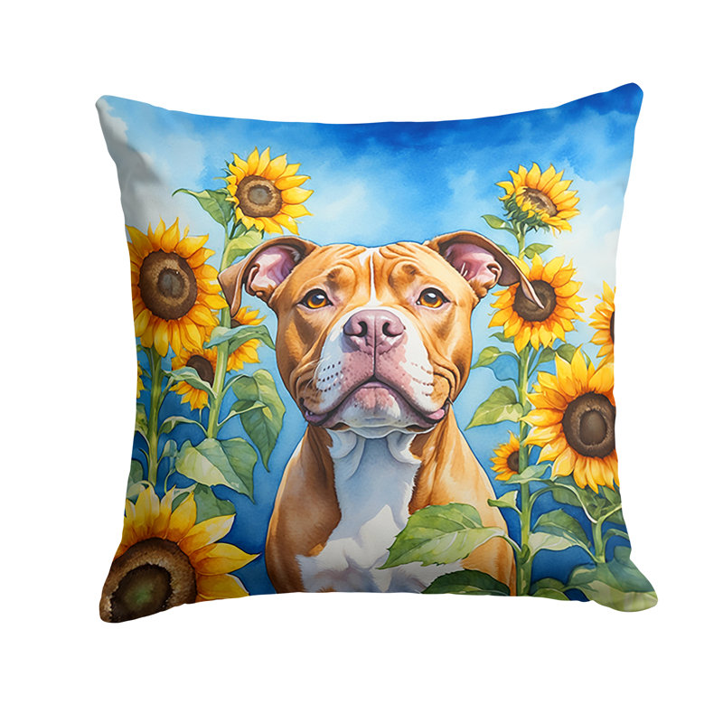 Other/No Pattern Outdoor Throw Pillow, 14" H x 14" W