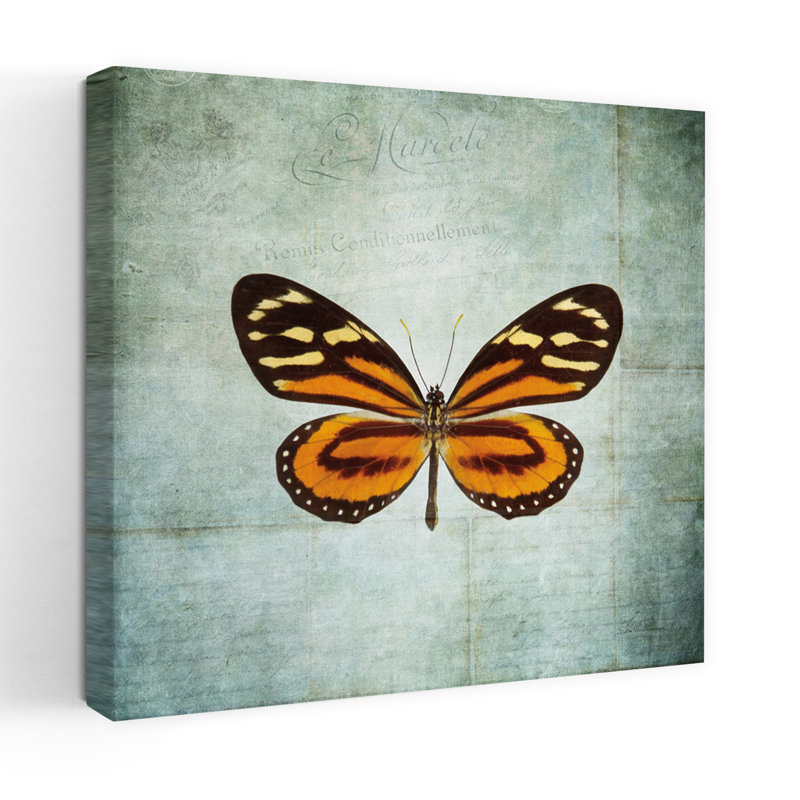 Art français de papillon contemporain français, H 48 po x l 48 po