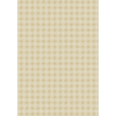 Imagine Plaid Rug