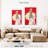 Shuttleworth Glamorous Lady-108589129