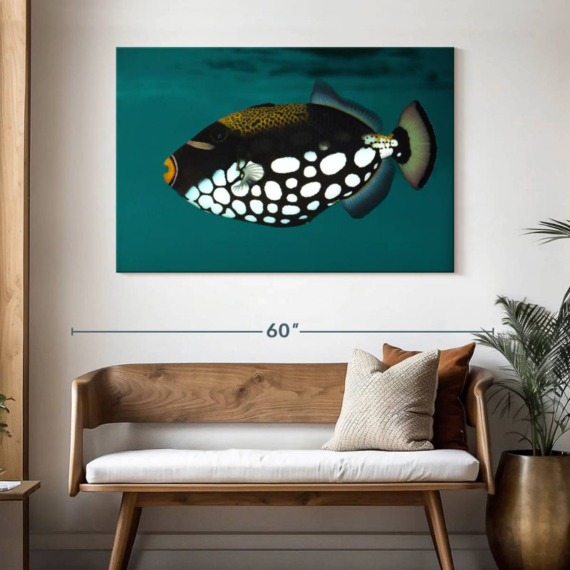 Clown Triggerfish Pet, 32" H x 48" W