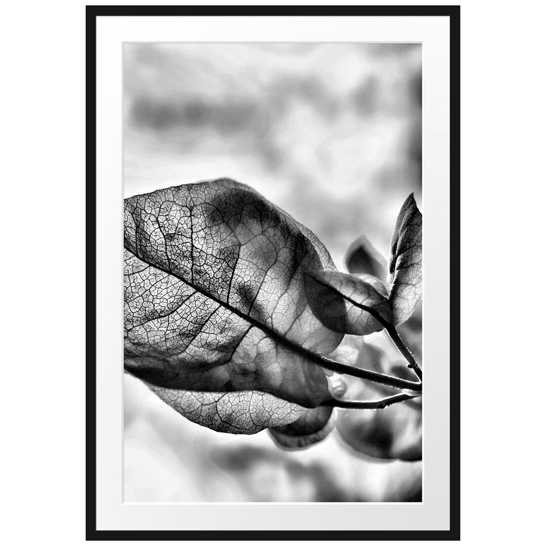 Gerahmtes Poster Sonnenstrahlen auf Blüten