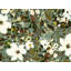 Peaceful White Botanicals by Josie George — Botanical Wall Art-1859694883-1859694940-1859694943