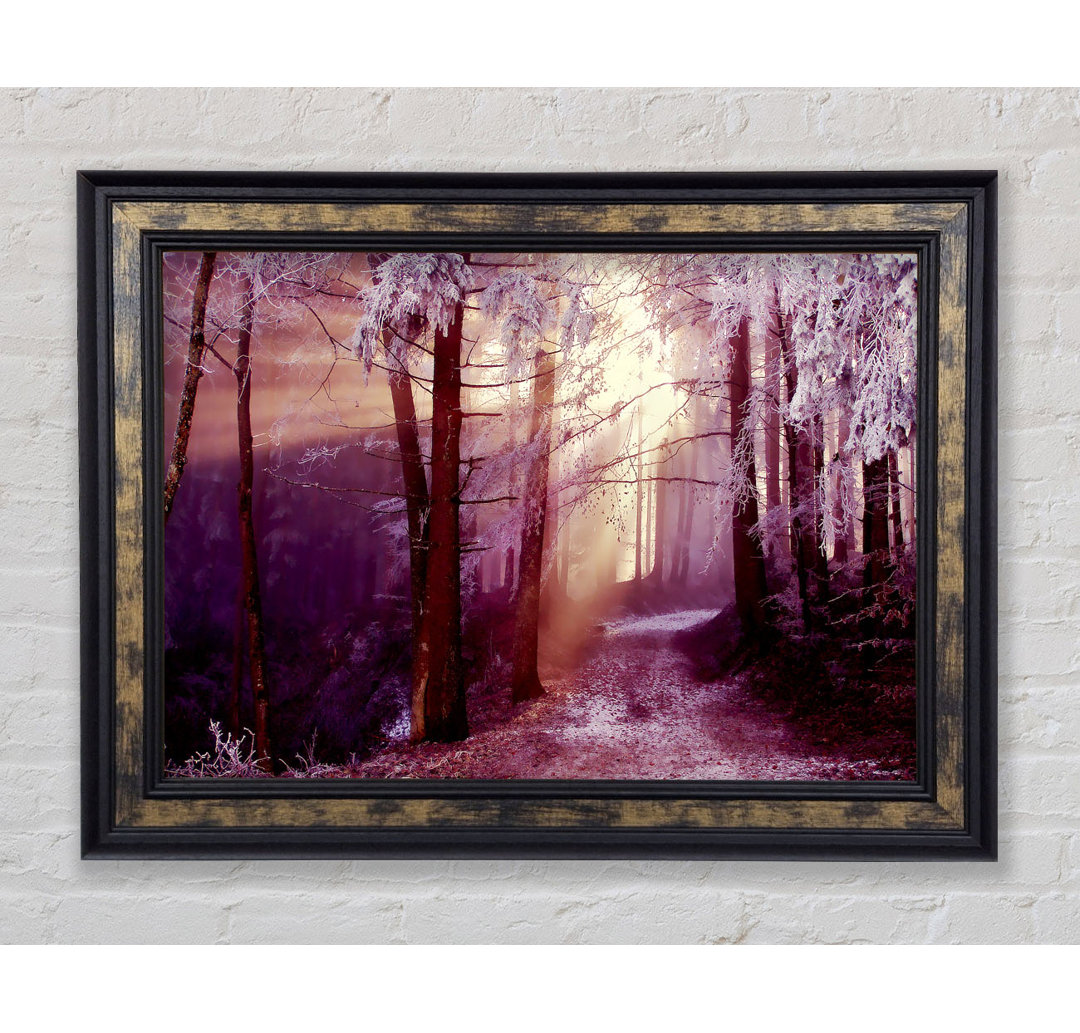 Winter Woodland Sunbeam - Einzelner Bilderrahmen Kunstdrucke