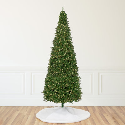 180' Lighted Fir Christmas Tree