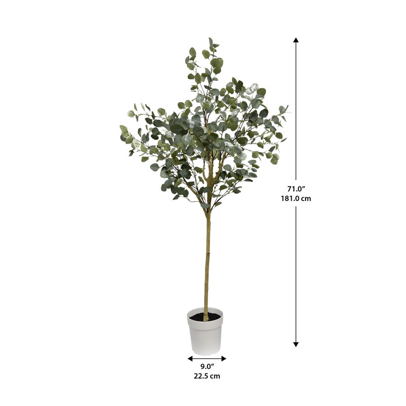 70'' Potted Silk Eucalyptus Tree in White Plastic Pot
