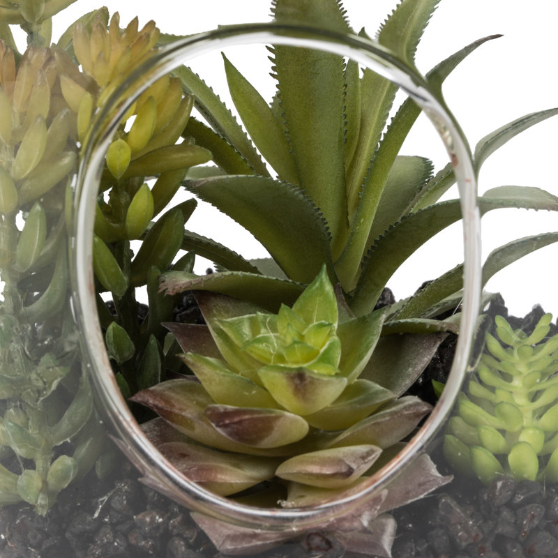 Modern Tabletop Green Assorted Succulents in 9" Glass Jar
