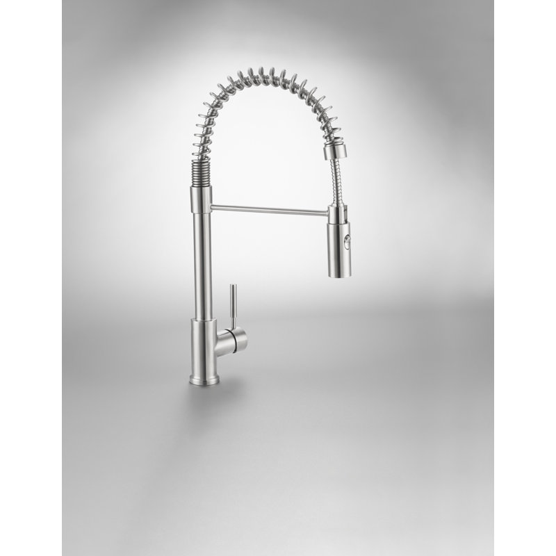 Lux Pull-Down Single Handle Kitchen Faucet with Accessories, Brushed Stainless Steel