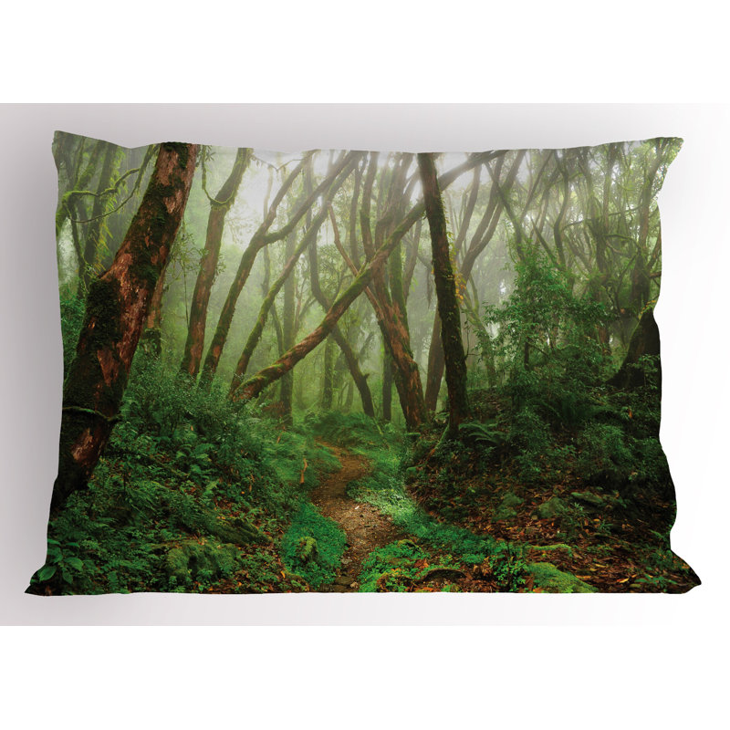 Ensemble de 2 taies décoratives tropicales Ambesonne, L 30 po x H 20 po