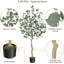 Plant-1212598286