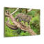 No Frame Print on Canvas-1572155888