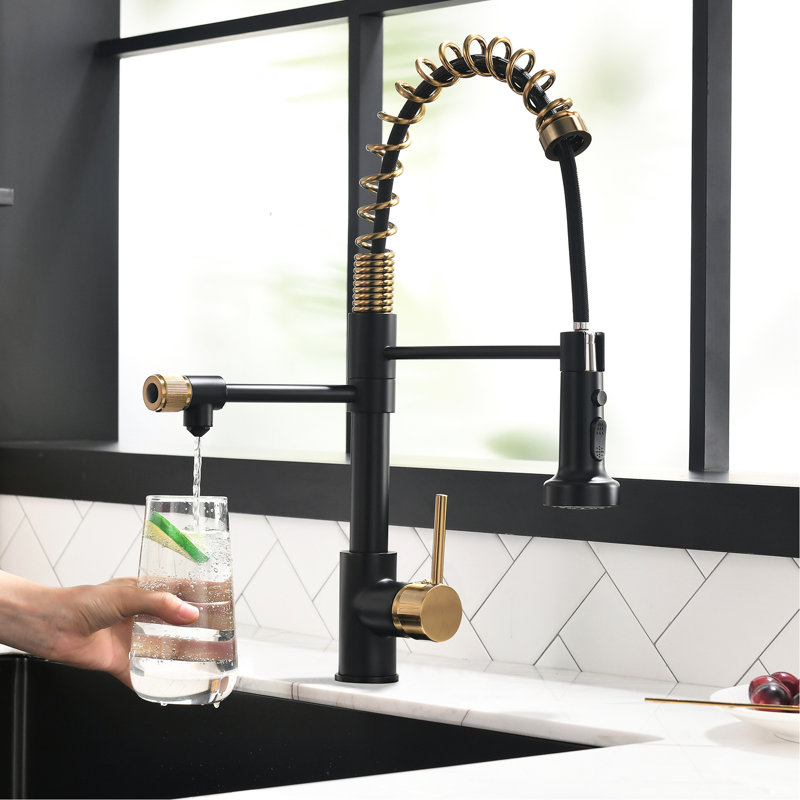 Contemporary Kitchen Purifier Sink Tap - Drinking Water Faucet With Pull Down Filter In Black And Gold Style, Black/Gold