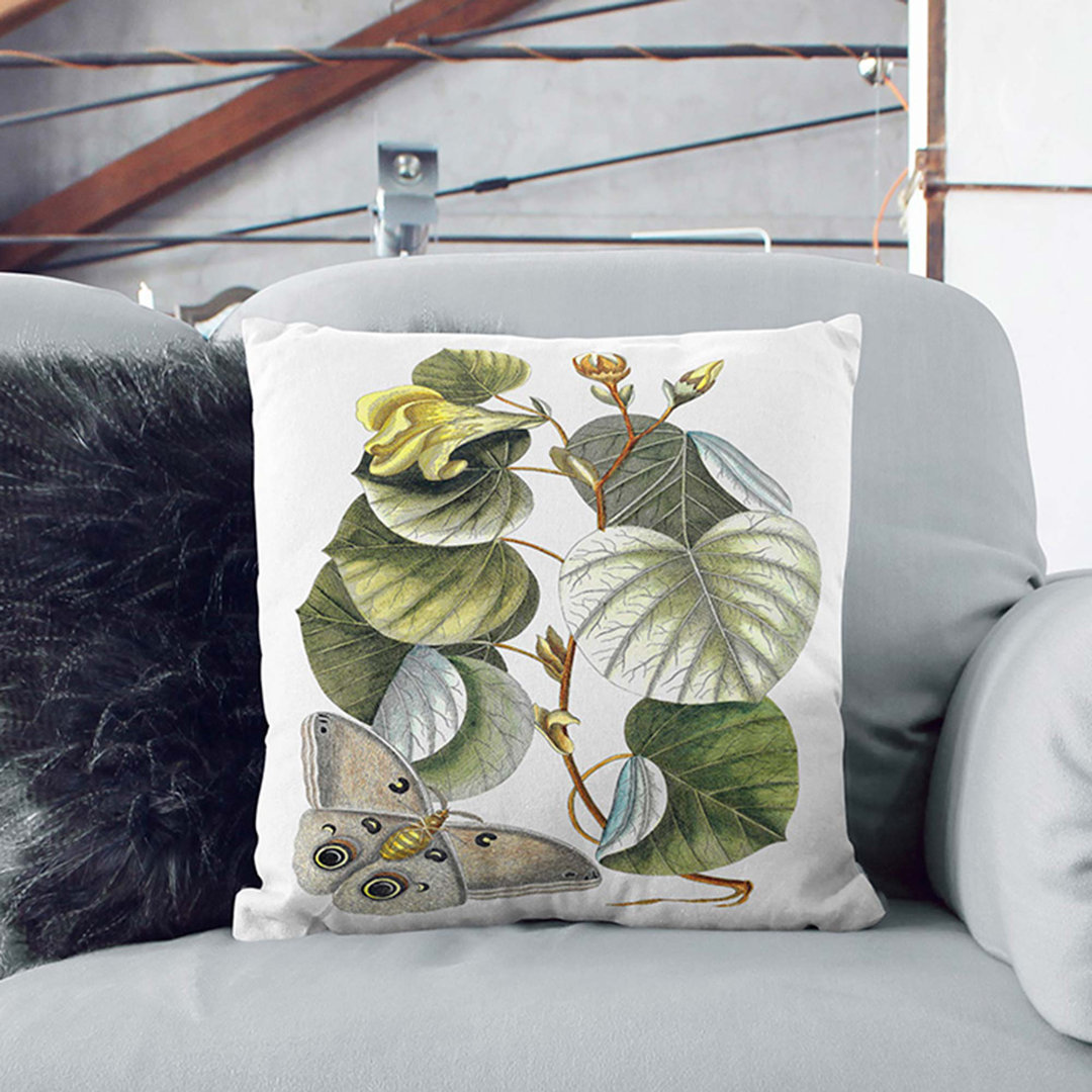 Butterfly and Mano Tree by Mark Catesby Cushion with Filling