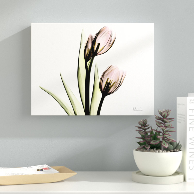 Tulip Love H37 - Wrapped Canvas Print, 30 cm H x 41 cm W
