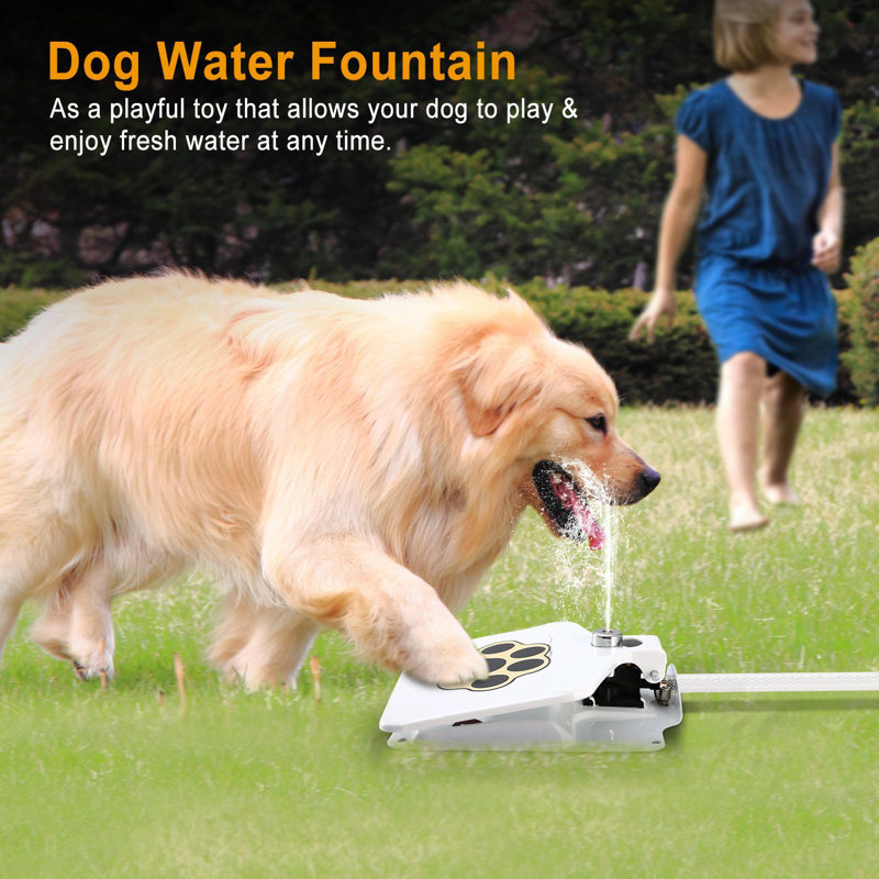 Distributeur d'eau automatique
