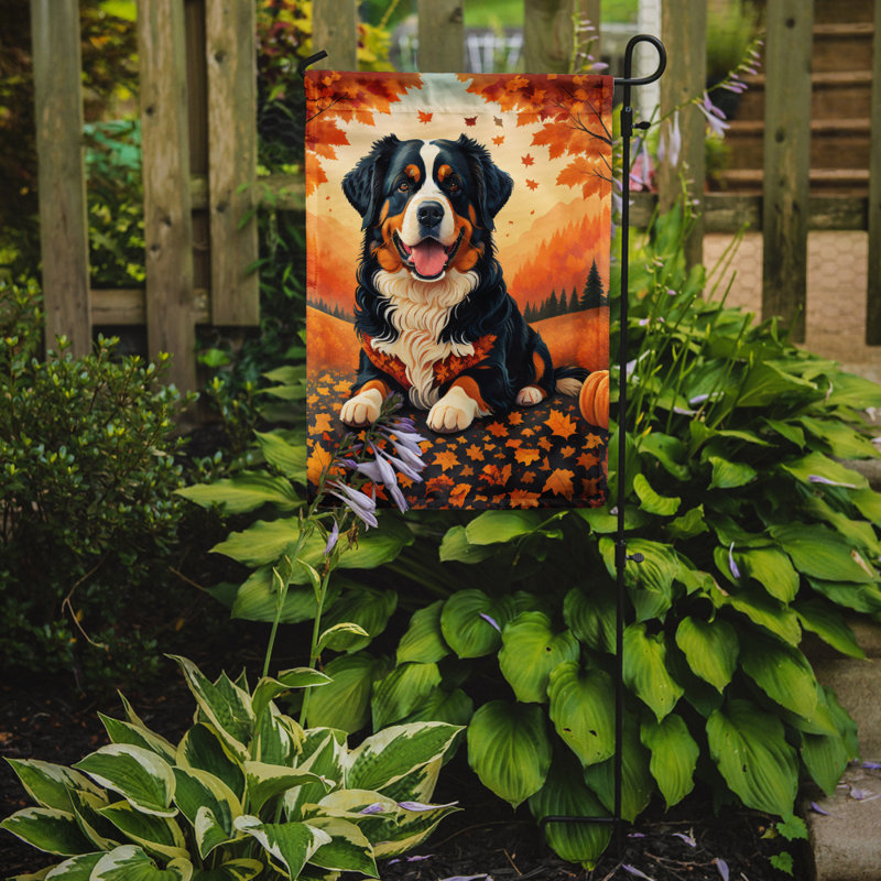 Drapeau de jardin bouvier bernois