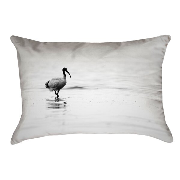 Highland Dunes Castillo Polyester Throw Pillow | Wayfair