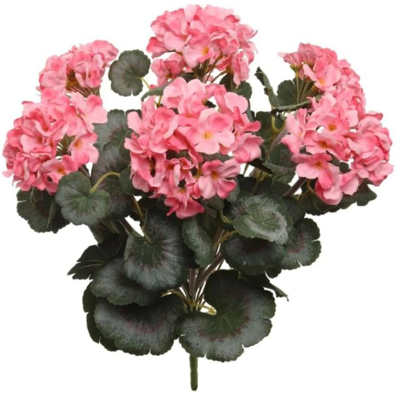 Pink 18"dlx Uv Geranium Bushx7